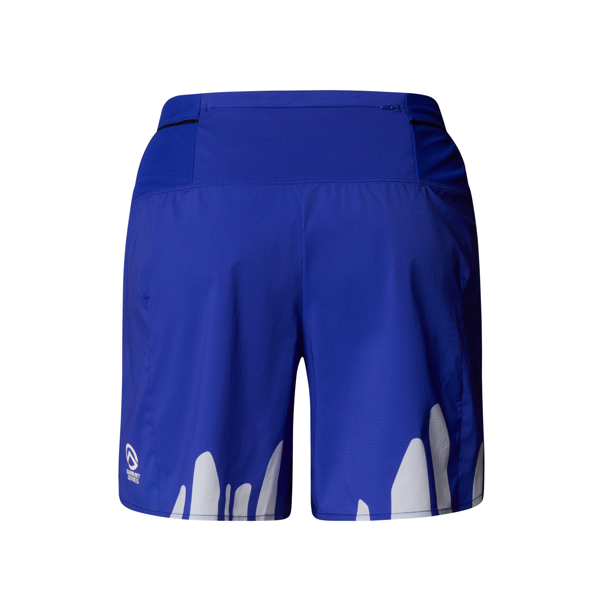 TNF X TNF Pacesetter 3" Short W