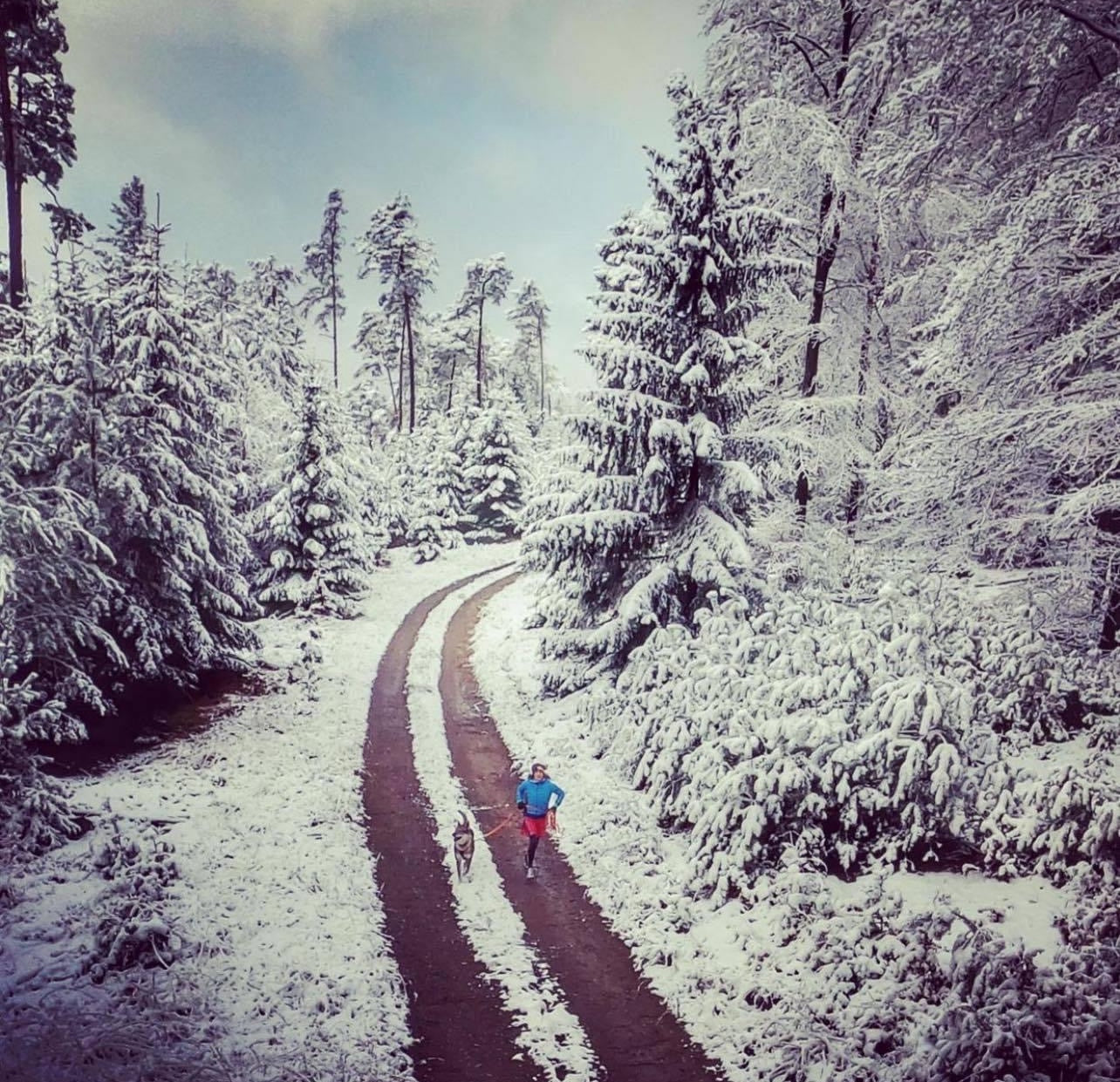 Entdecke den Pfälzerwald